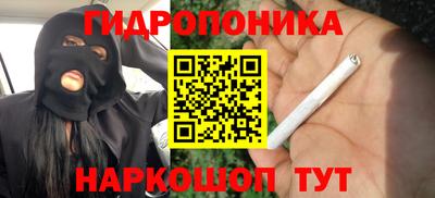 шишки Гусиноозёрск
