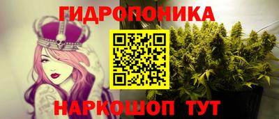 шишки Гусиноозёрск