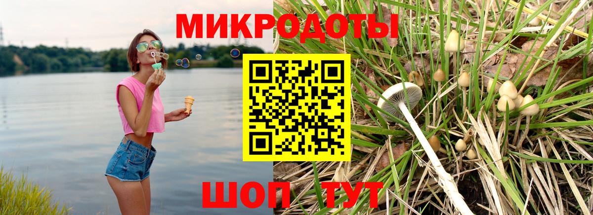 Псилоцибиновые грибы MAGIC MUSHROOMS Новоалтайск